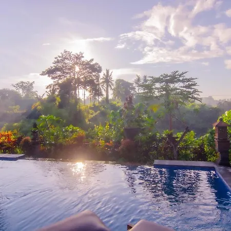 Big Tree House Villa
